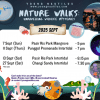 Sep 2025 Intertidal Mangrove Walk Schedule Young Nautilus